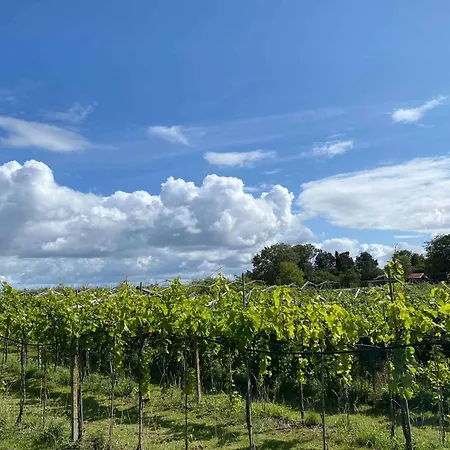 Italian Idyll In Karrebaeksminde