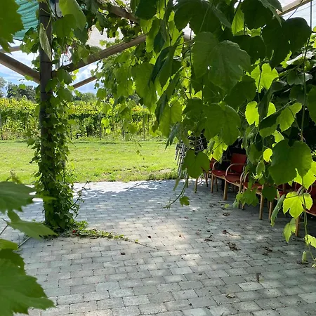 Italian Idyll In Farm stay