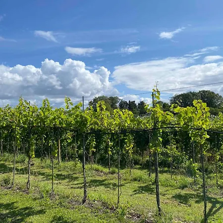 Farm stay Italian Idyll In *